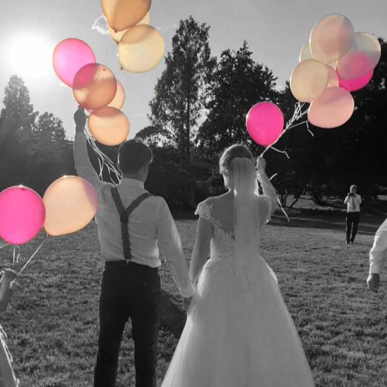 Brautpaar, DJ, Hochzeit, Brandenburg